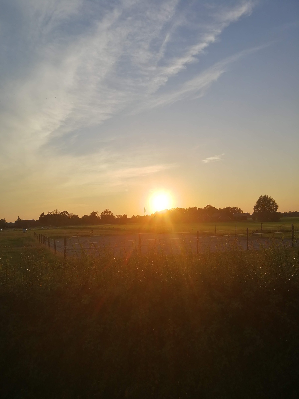 Zonsondergang in het weiland